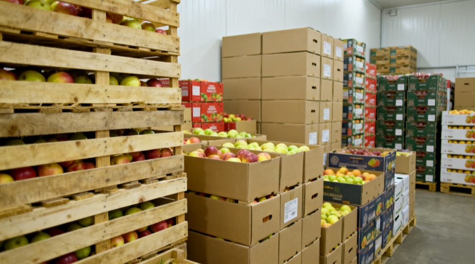 Crates and boxes of fresh fruit arranged on pallets inside a climate-controlled cold storage facility in Ningbo. The image illustrates DR Trans’s LCL shipping and cold-chain handling for perishable produce exported from China to Australia.